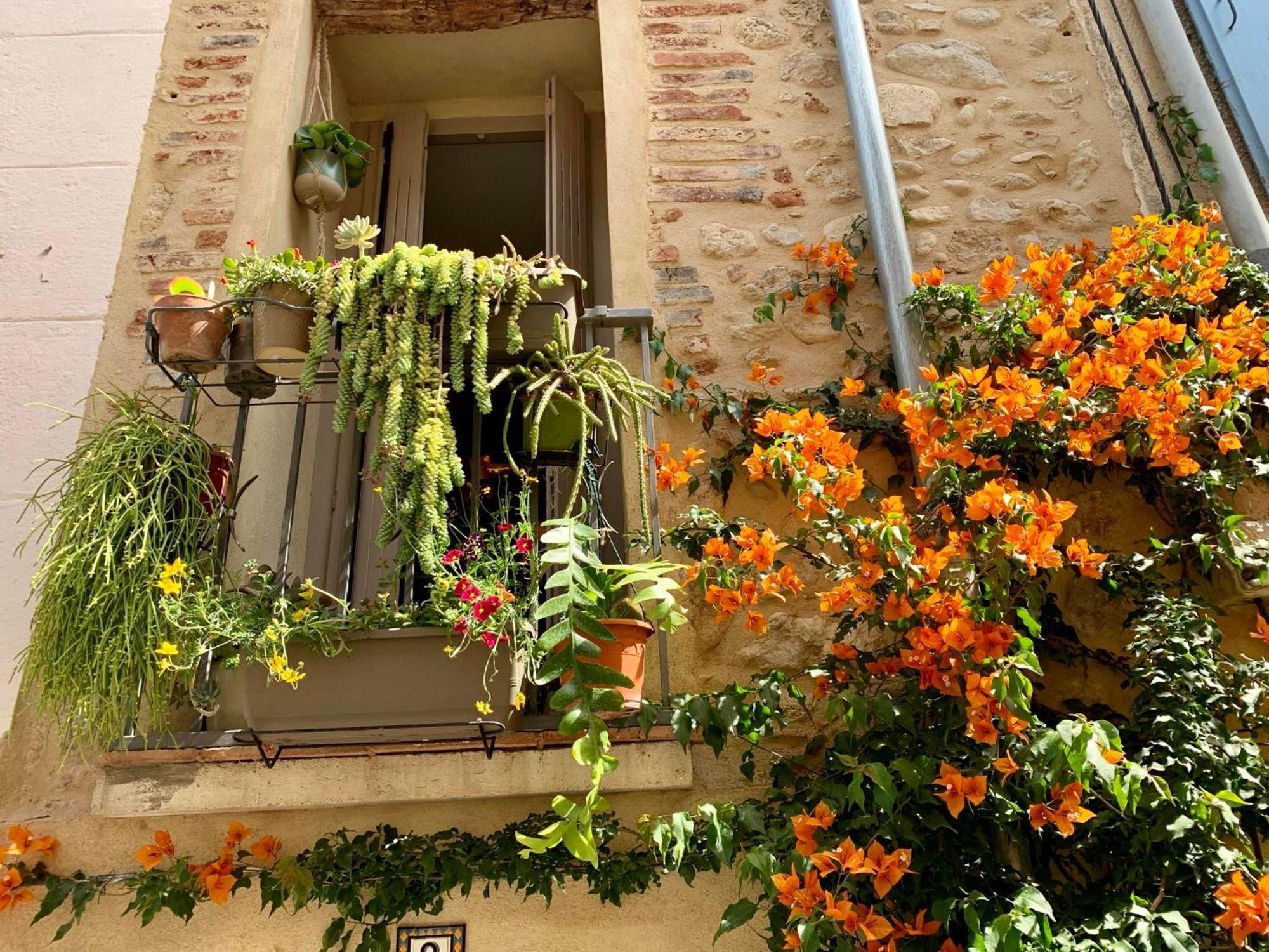 Maison Historique Rue Vermeille Argeles Sur Mer Экстерьер фото