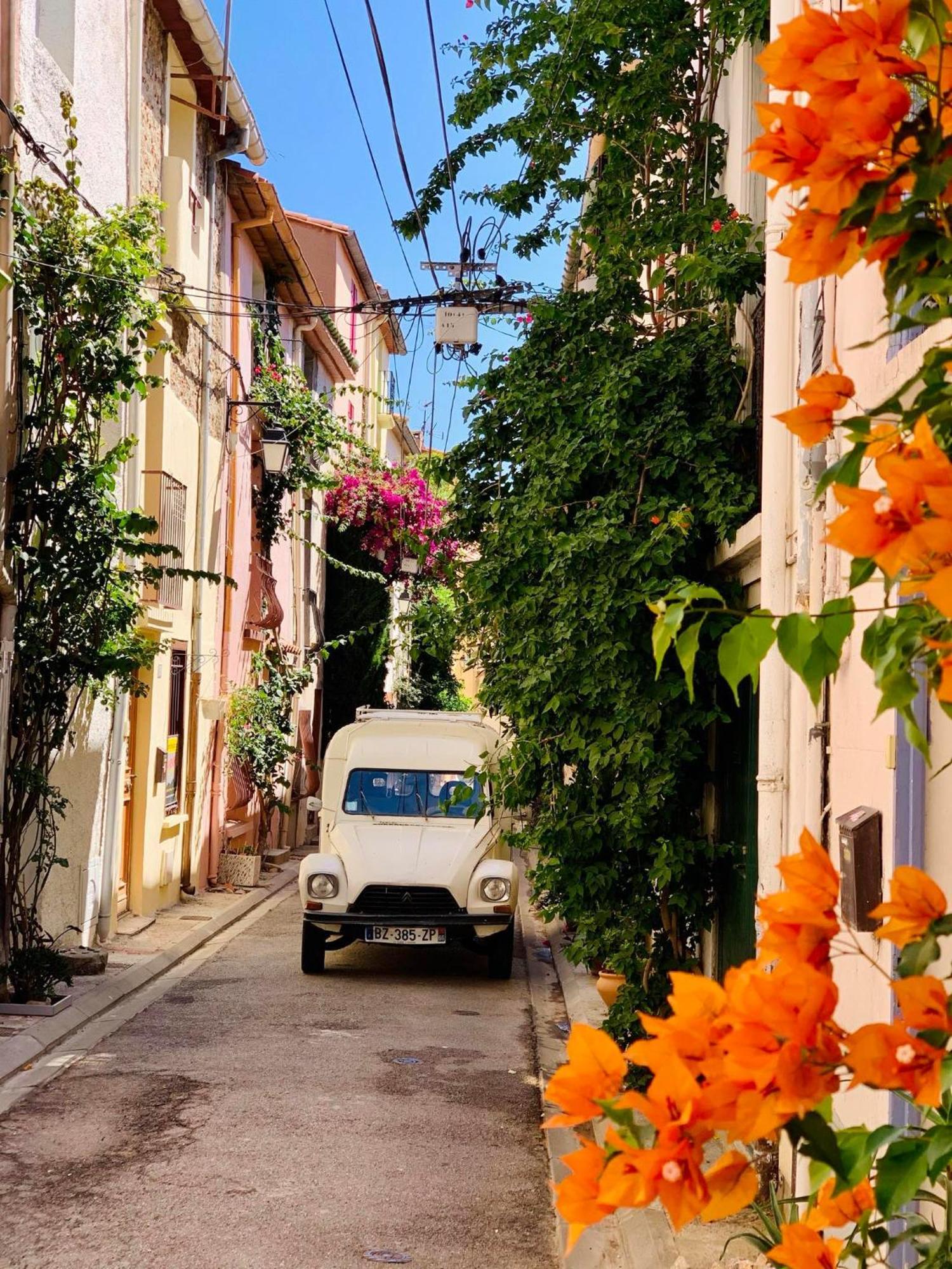 Maison Historique Rue Vermeille Argeles Sur Mer Экстерьер фото
